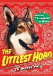 The Littlest Hobo